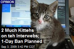 2 Much Kittehs on teh Interwebs; 1-Day Ban Planned
