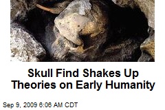 Skull Find Shakes Up Theories on Early Humanity