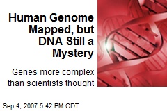 Human Genome Mapped, but DNA Still a Mystery