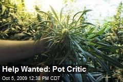 Help Wanted: Pot Critic