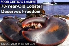 70-Year-Old Lobster Deserves Freedom