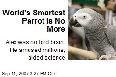 World's Smartest Parrot Is No More