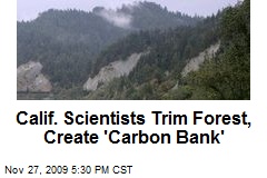 Calif. Scientists Trim Forest, Create 'Carbon Bank'