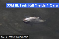 $3M Ill. Fish Kill Yields 1 Carp