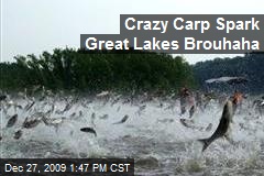 Crazy Carp Spark Great Lakes Brouhaha