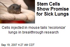Stem Cells Show Promise for Sick Lungs
