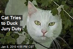 Cat Tries to Duck Jury Duty