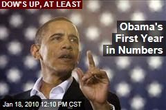 Obama's First Year in Numbers