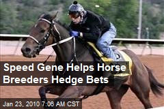 Speed Gene Helps Horse Breeders Hedge Bets