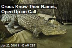 Crocs Know Their Names, Open Up on Call