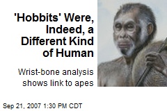 'Hobbits' Were, Indeed, a Different Kind of Human