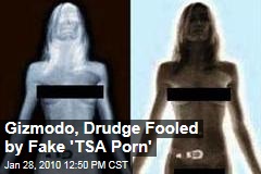 Gizmodo, Drudge Fooled by Fake 'TSA Porn'