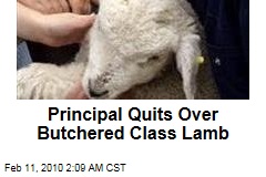 Principal Quits Over Butchered Class Lamb