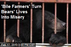 'Bile Farmers' Turn Bears' Lives Into Misery
