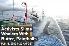 Activists Slime Whalers With Butter, Paintballs