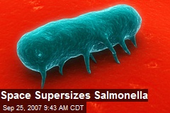 Space Supersizes Salmonella