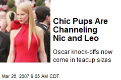Chic Pups Are Channeling Nic and Leo