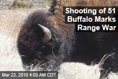 Shooting of 51 Buffalo Marks Range War