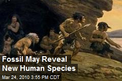 Fossil May Reveal New Human Species
