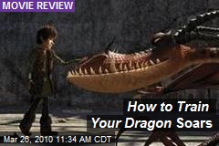 How to Train Your Dragon Soars