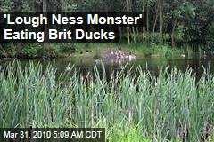 'Lough Ness Monster' Eating Brit Ducks