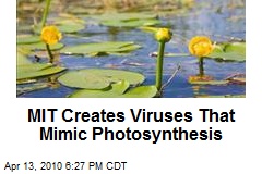 MIT Creates Viruses That Mimic Photosynthesis