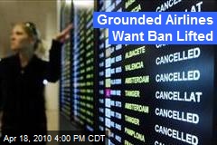 Grounded Airlines Want Ban Lifted