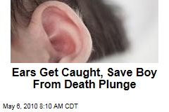 Ears Save Boy From Death Plunge