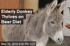 Elderly Donkey Thrives on Beer Diet