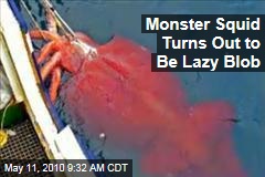 Monster Squid Turns Out to Be Lazy Blob
