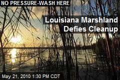 Louisiana's Marshland More Like Quicksand