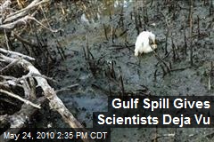 Gulf Spill Gives Scientists Deja Vu