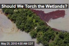 Should We Torch the Wetlands?