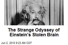 The Strange Odyssey of Einstein's Stolen Brain