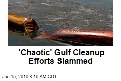 'Chaotic' Gulf Cleanup Efforts Slammed