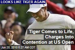 Tiger Comes to Life, Charges Into Contention at US Open