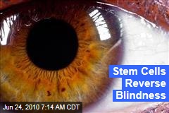 Stem Cells Reverse Blindness