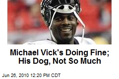 Michael Vick's Doing Fine; His Dog, Not So Much