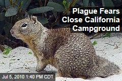 Plague Fears Close California Campground