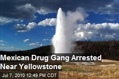 Mexican Drug Gang Arrested Near Yellowstone