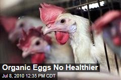 Organic Eggs No Healthier