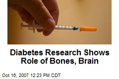 Diabetes Research Shows Role of Bones, Brain