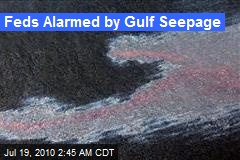 Feds Alarmed by Gulf Seepage