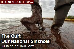 The Gulf: Our National Sinkhole