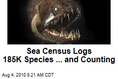 Sea Census Logs 185K Species ... and Counting