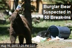 Burglar Bear Suspected in 50 Break-Ins