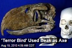 'Terror Bird' Used Beak Like an Axe