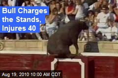Bull Charges the Stands, Injures 40