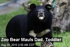 Dad Saves Toddler From Bear at Zoo