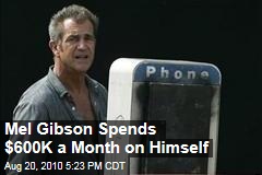 Mel Gibson Spends $600K a Month on Himself